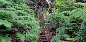 photo_2025-07-24_22-10-23