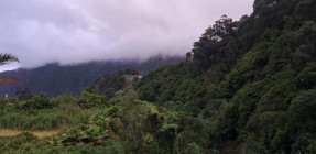 photo_2025-07-24_22-10-59